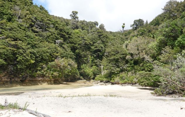 DSC02805 Abel Tasman NP Medlands Beach_k
