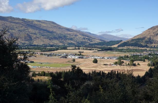 DSC03320 Wanaka Mt Iron Track_k
