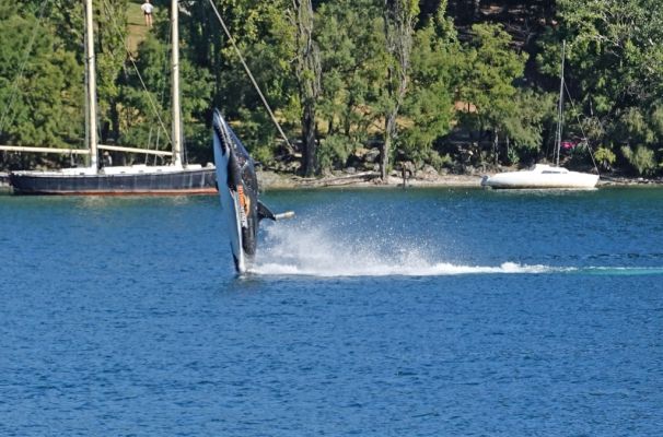 DSC03529a Queenstown Seabreacher_k
