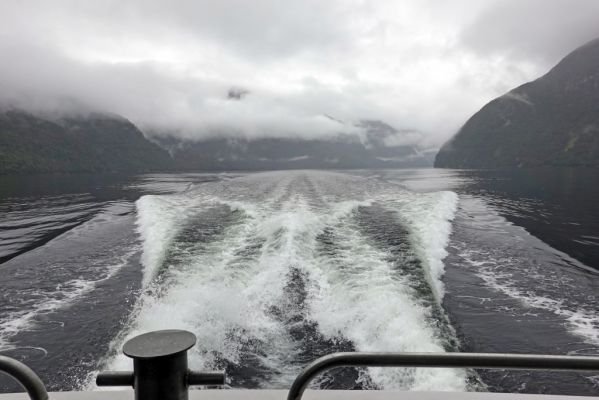 DSC03820 Doubtful Sound Heckwelle_k
