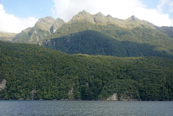 DSC03932 Lake Manapouri_k
