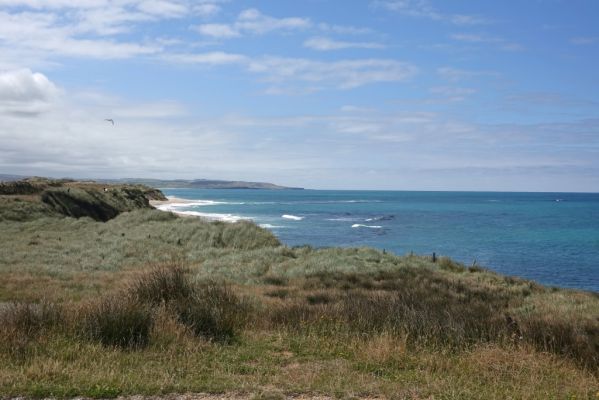 DSC03988 Waipapa Point Meer_k
