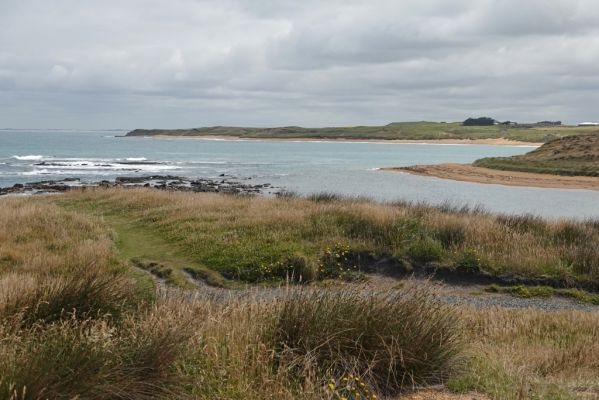 DSC03990 Waipapa Point Meer_k

