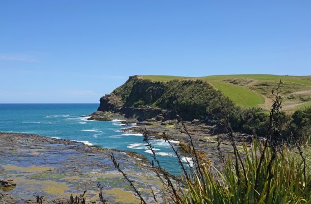 DSC04026 Curio Bay_k
