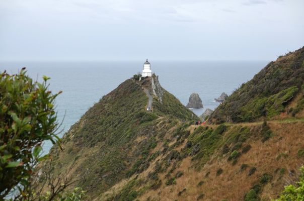 DSC04156 Nugget Point Lighthouse_k

