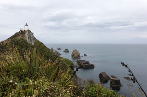 DSC04159 Nugget Point Lighthouse_k

