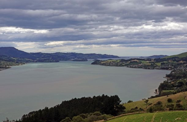 DSC04354 Otago Harbour_k
