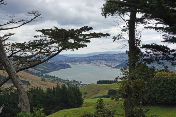 DSC04357 Otago Peninsula Blick auf Otago Harbour und Dunedin_k
