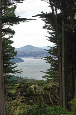 DSC04380 Larnach Castle Garten Durchblick_k

