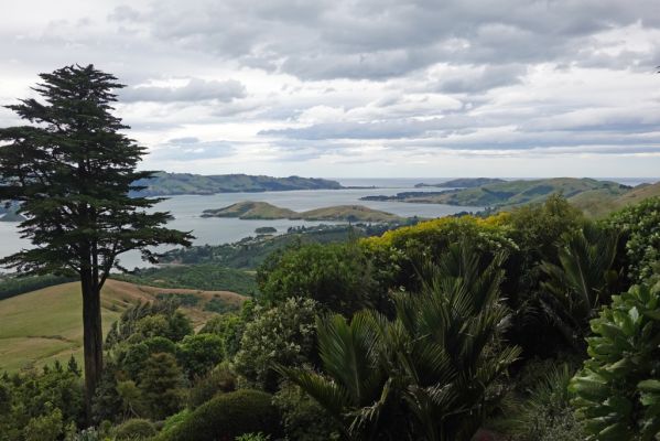DSC04384 Larnach Castle Otago Harbour_k
