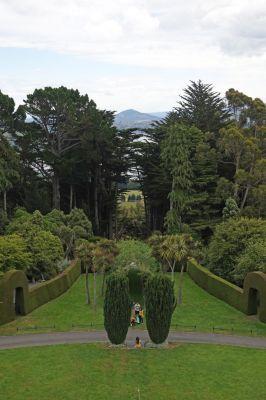 DSC04431 Larnach Castle Blick auf Durchblick_k
