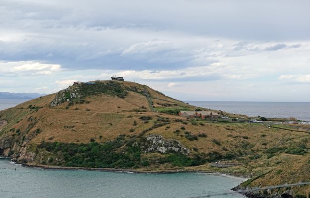 DSC04449 Taiaroa Head_k
