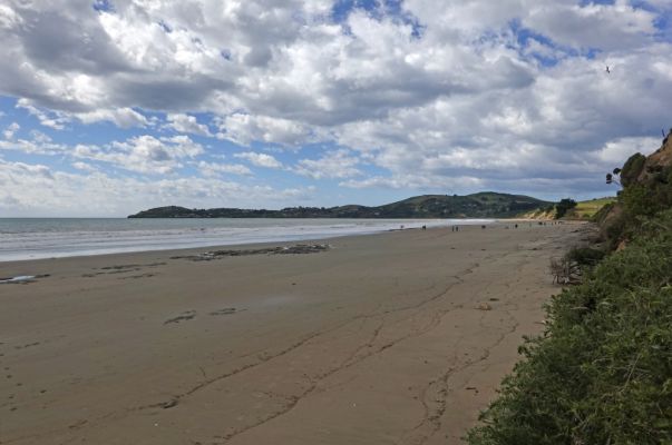 DSC04499 Strand bei Moeraki_k
