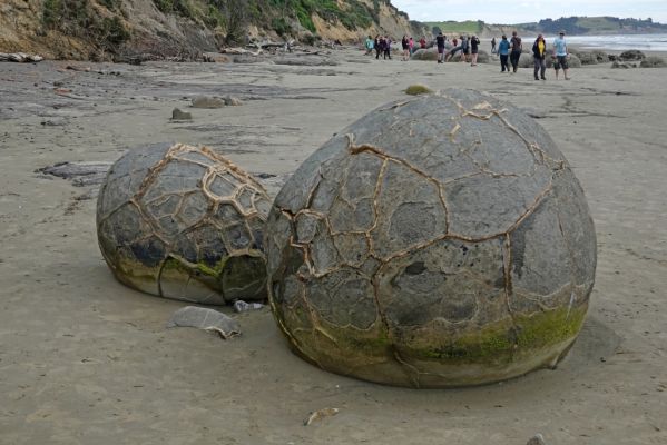 DSC04513 Moeraki Boulders_k
