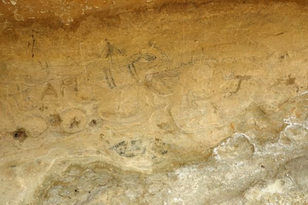 DSC04563 Takiroa Rock Art Shelter Petroglyphen_k
