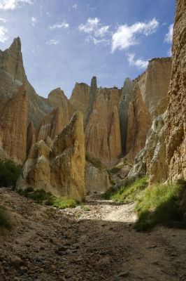 DSC04599 Clay Cliffs_k
