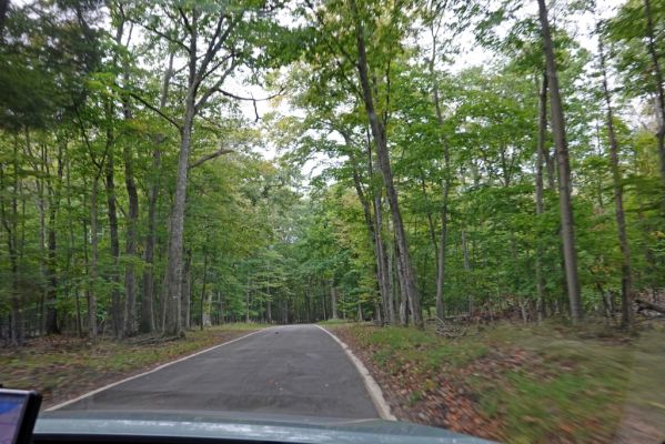 DSC07240 Tunnel of Trees_k
