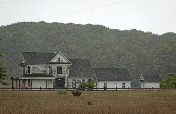 DSC07256 D H Day Farm_k
