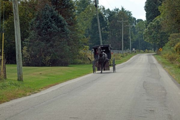 DSC07774 Amish Kutsche bei Shipshewana_k
