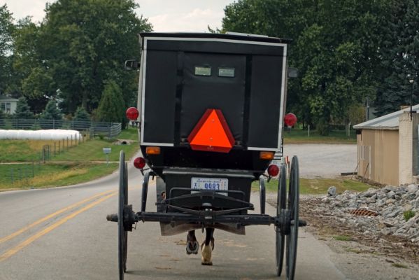 DSC07789 Amish Kutsche vor Shipshewana_k
