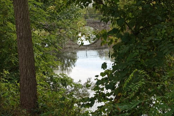 DSC07808 Goshen Millrace Canal_k
