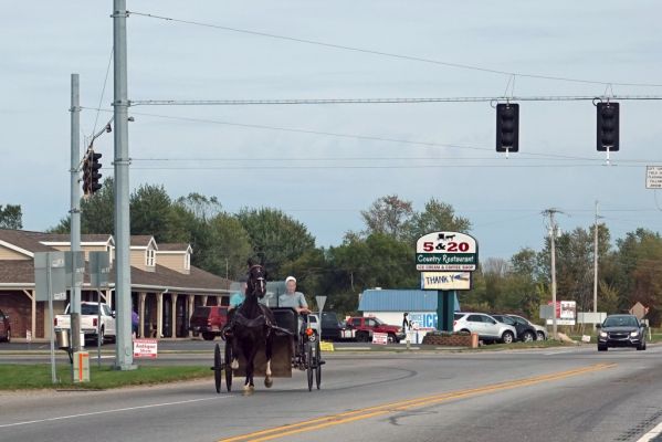 DSC07818 Shipshewana Amish Kutsche_k
