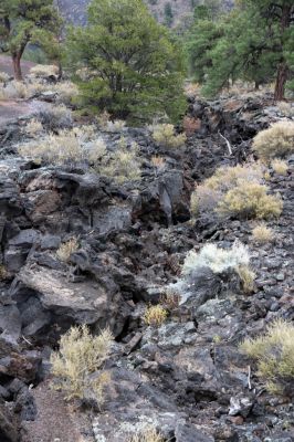 IMG_0093_Sunset_Crater_Volcano_NM_Lavaspalte_forum.jpg