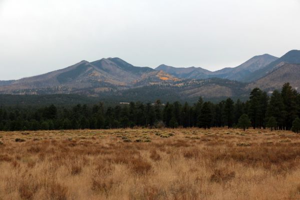 IMG_0113_Sunset_Crater_Volcano_NM_Prairie_und_San_Francisco_Peaks_forum.jpg