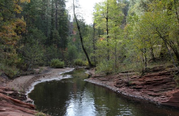 IMG_0152_Sedona_Oak_Creek_Canyon_West_Fork_forum.jpg