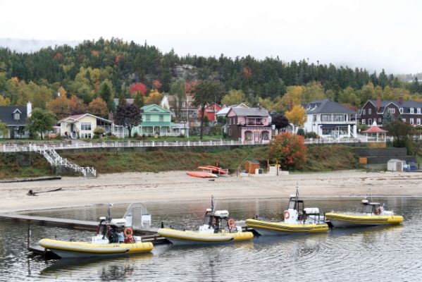 Tadoussac Zodiacs
