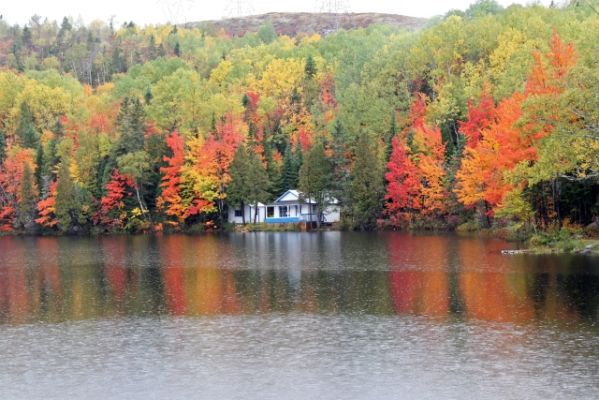 Lac à Pitre
