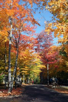 Canyon Ste Anne Herbstlaub
