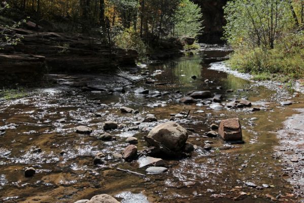IMG_0221_Sedona_Oak_Creek_Canyon_West_Fork_Furt_07_forum.jpg