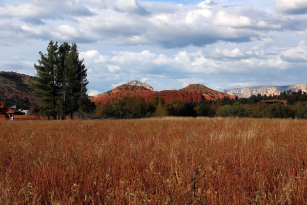 IMG_0259_Sedona_Red_Rock_State_Park_forum.jpg