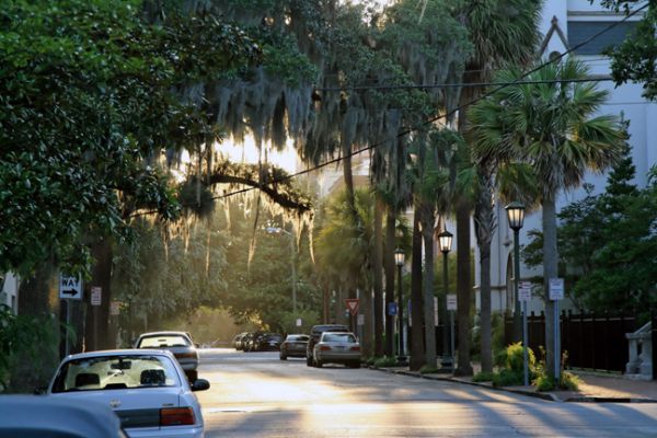 Savannah, Abendstimmung
