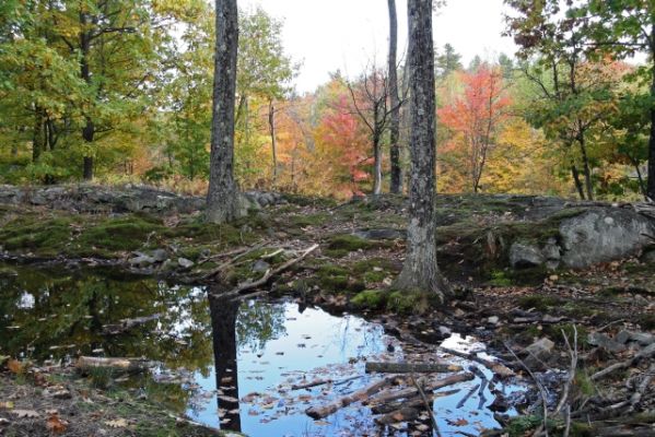 Parc Omega Biberteich
