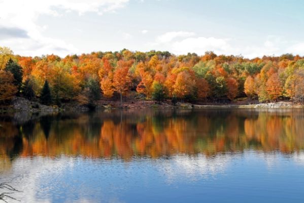 Parc Omega, Lac des Truites
