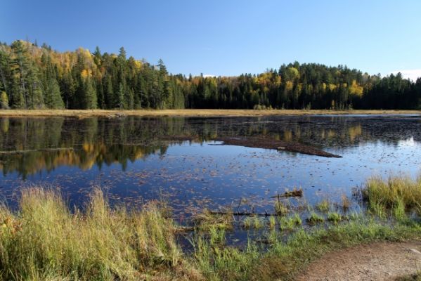 Beaver Pond Trail

