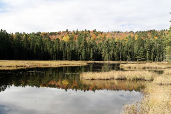 Algonquin Park Bat Lake Trail
