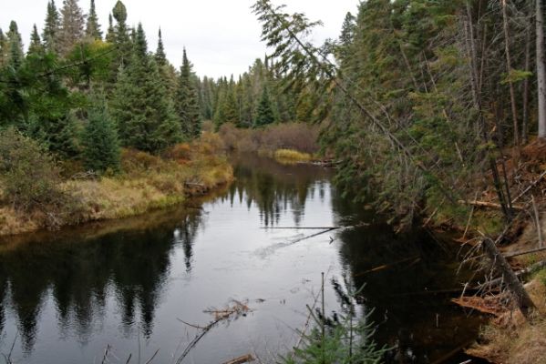 Whiskey Rapids Trail
