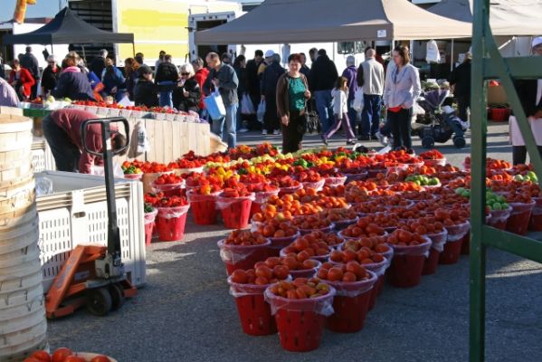 St Jakobs Farmers Market
