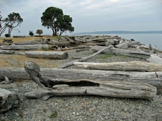 Blake Island
