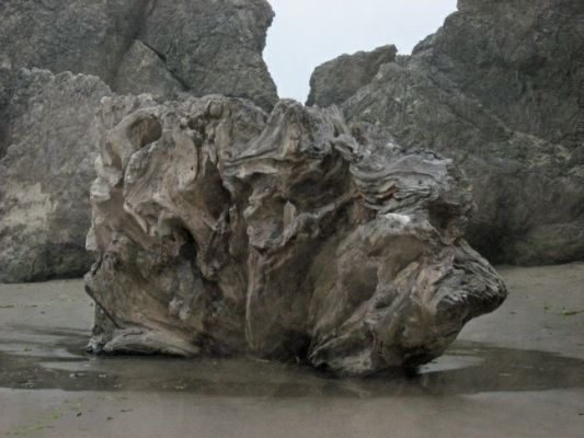 Bandon Treibholz
