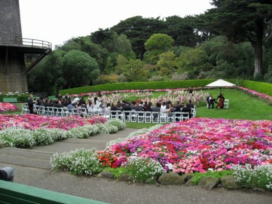 Tulip Garden
