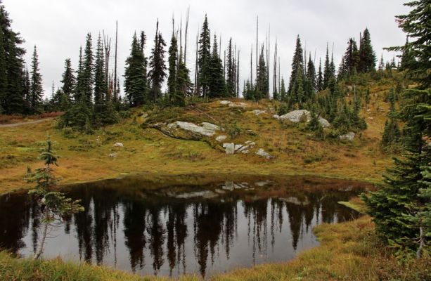 09 Mt Revelstoke
