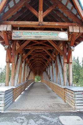 06 Golden Kicking Horse Bridge
