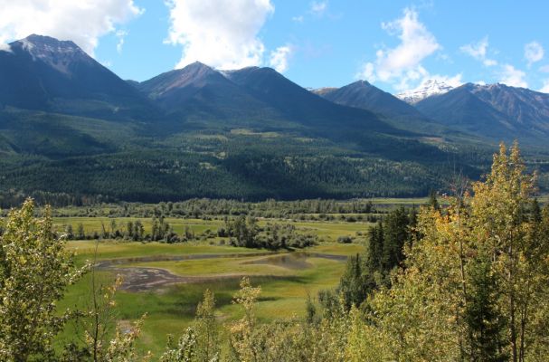 07 vor Radium Hot Springs
