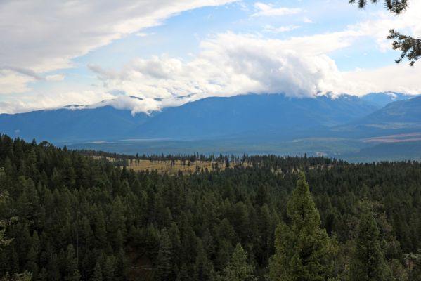 08 Juniper Trail
