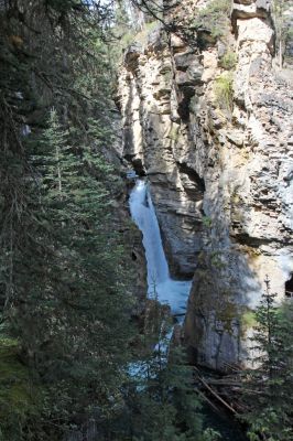 IMG_1899_Johnston_Canyon_forum.jpg