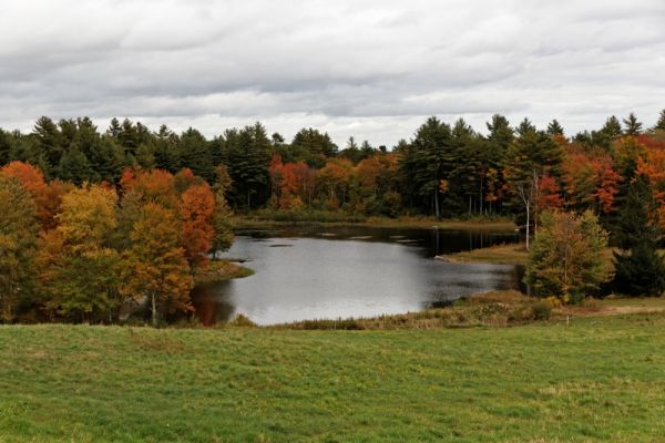 Canterbury Shaker Village Turning Mill Pond
